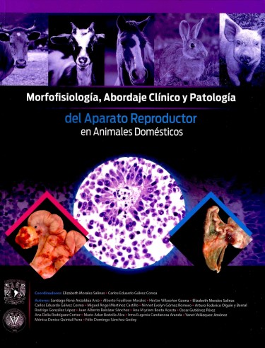 Morfofisiología, abordaje clínico y patología del aparato reproductor en animales domésticos