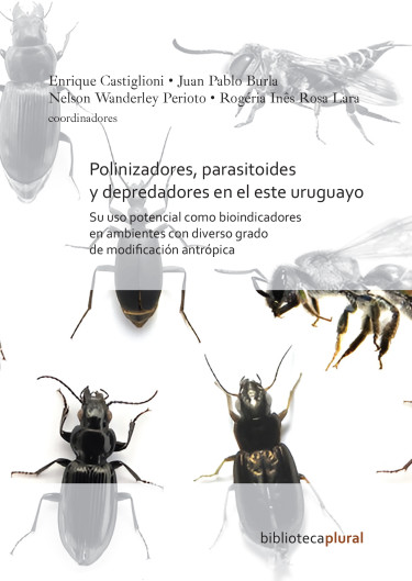 Polinizadores, parasitoides y depredadores en el este uruguayo