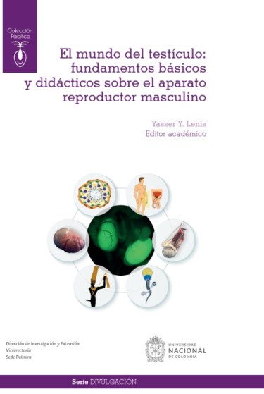El mundo del testículo