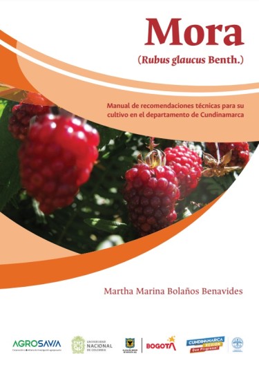 Mora (Rubus glaucus Benth.)