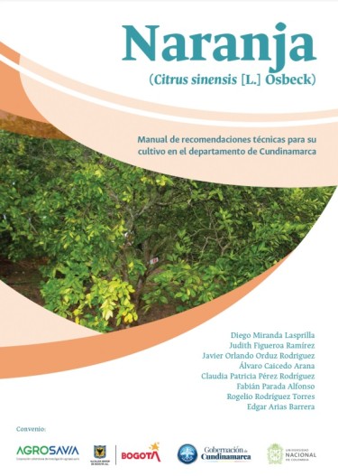 Naranja (Citrus sinensis [L.] Osbeck)