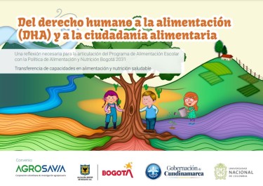 Del derecho humano a la alimentación (DHA) a la ciudadanía alimentaria