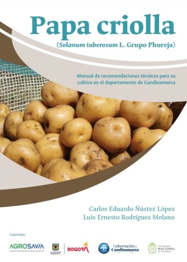 Papa criolla (Solanum tuberosum L. Grupo Phureja)