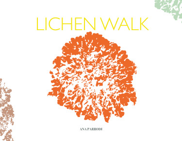 Lichen Walk