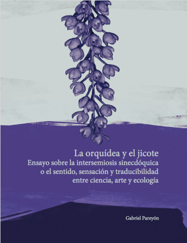 La orquídea y el jicote
