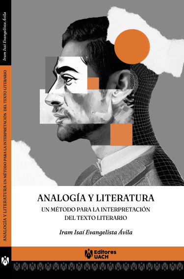 Analogía y literatura