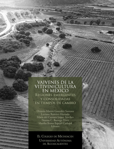 Vaivenes de la vitivinicultura en México