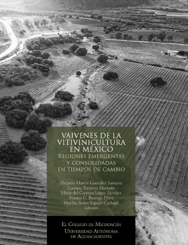 Vaivenes de la vitivinicultura en México.