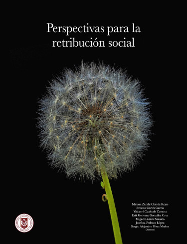 Perspectivas para la retribución social