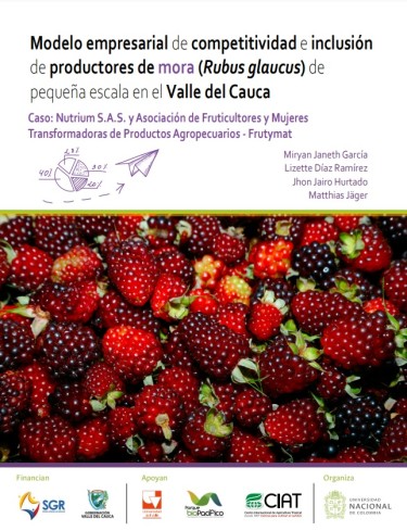 Modelo empresarial de competitividad e inclusión de productores de mora (Rubus glaucus) de pequeña escala, en el Valle del Cauca. Caso