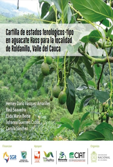Cartilla de estados fenológicos-tipo en aguacate Hass para la localidad de Roldanillo, Valle del Cauca