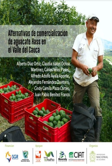 Alternativas de comercialización de aguacate Hass en el Valle del Cauca