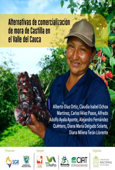 Alternativas de comercialización de mora de Castilla en el Valle del Cauca