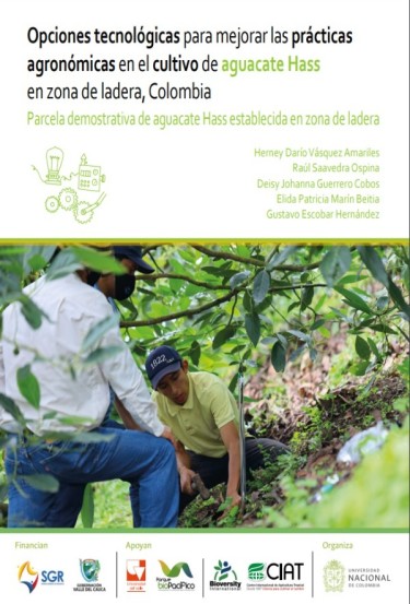Opciones tecnológicas para mejorar las prácticas agronómicas en el cultivo de aguacate Hass en zona de ladera, Colombia