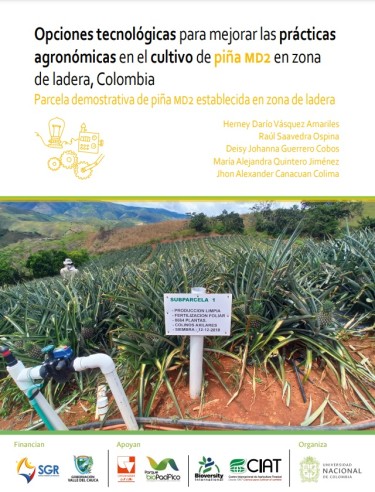 Parcela Demostrativa de Piña