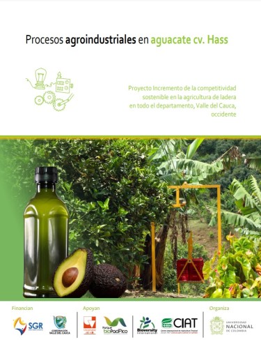 Procesos agroindustriales en aguacate CV. Hass