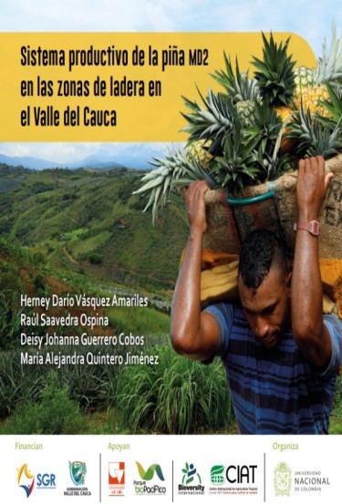 Sistema productivo de la piña md2 en las zonas de ladera en el Valle del Cauca