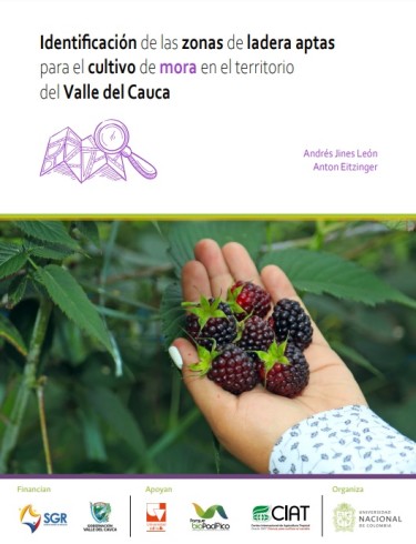 Identificación de las zonas de ladera aptas para el cultivo de mora en el territorio del Valle del Cauca