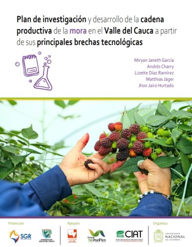 Plan de investigación y desarrollo de la cadena productiva de la mora del Valle del Cauca a partir de sus principales brechas tecnológicas