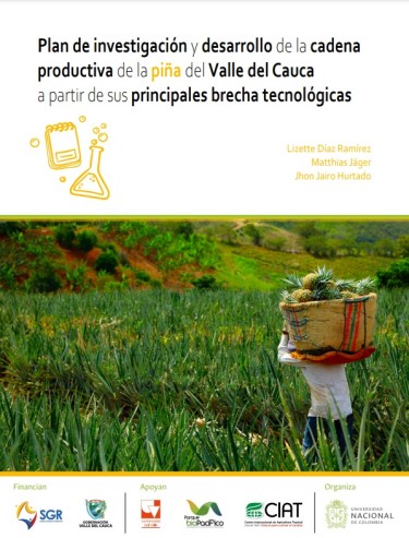 Plan de investigación y desarrollo de la cadena productiva de la Piña del Valle del Cauca a partir de sus principales brechas tecnológicas
