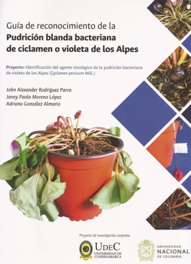 Guía de reconocimiento de la pudrición blanda bacteriana de ciclamen o violeta de los Alpes