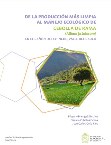 De la producción más limpia al manejo ecológico de cebolla de rama (Allium  fistulosum)