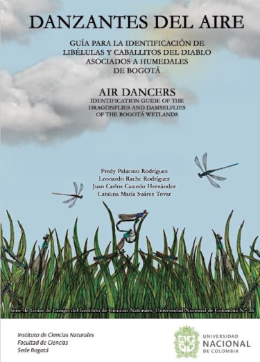Danzantes del aire