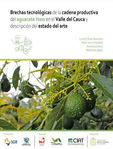 Brechas tecnológicas en la cadena productiva del aguacate Hass en el Valle del Cauca y descripción del estado del arte