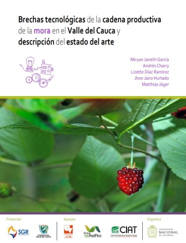 Brechas tecnológicas de la cadena productiva de la mora en el Valle del Cauca y descripción del estado del arte