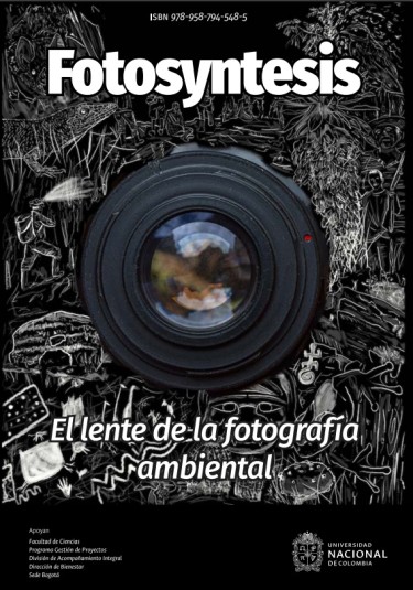 Fotosyntesis