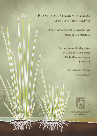 Plantas acuáticas mexicanas para la remediación