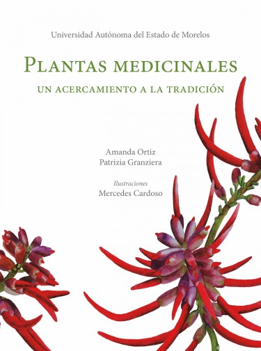 Plantas medicinales.