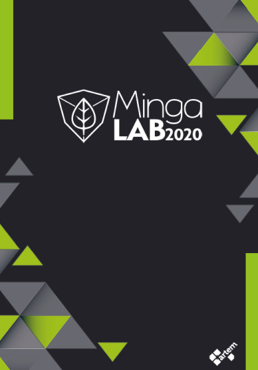 Minga Lab 2020