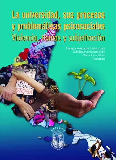 La universidad, sus procesos y problemáticas psicosociales.Violencia, tramas y subjetivación