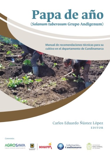 Papa de año (Solanum tuberosum Grupo Andigenum)