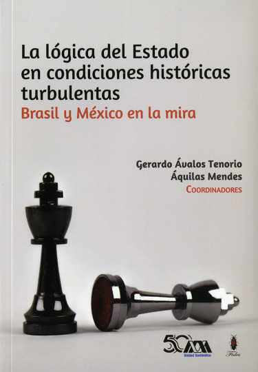 Lógica del Estado en condiciones históricas turbulentas, La