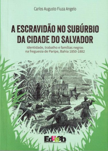 A Escravidão no Subúrbio da Cidade do Salvador