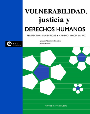 Vulnerabilidad, justicia y derechos humanos