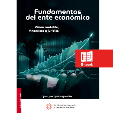 Fundamentos del ente económico.