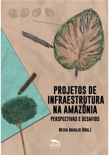 Projetos de infraestrutura na Amazônia: perspectivas e desafios