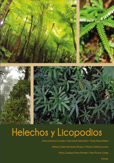 Helechos y licopodios del estado de Hidalgo, México