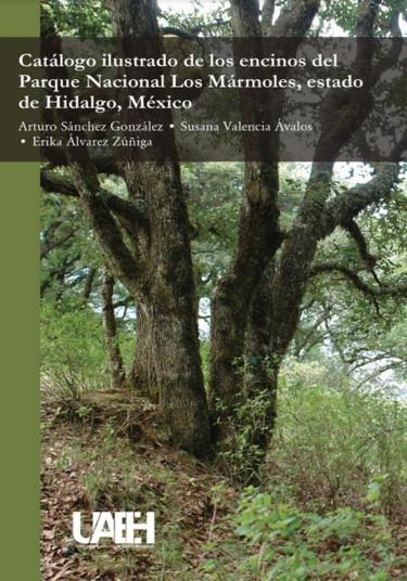 Catálogo ilustrado de los encinos del Parque Nacional Los Mármoles, estado de Hidalgo, México.