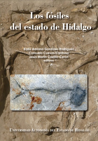 Los fósiles del estado de Hidalgo