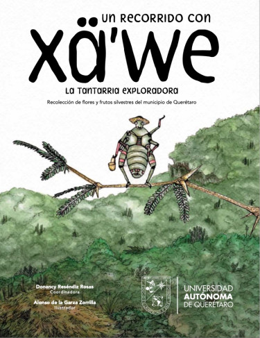 Un recorrido con Xä'we, la tantarria exploradora