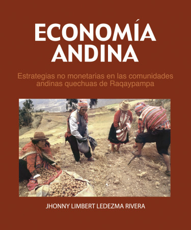Economía Andina