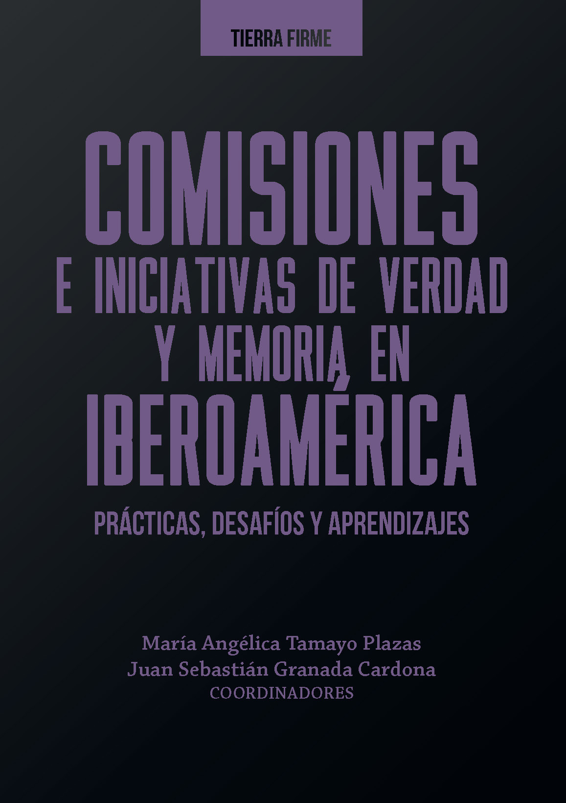 Comisiones e iniciativas de verdad y memoria en Iberoamérica