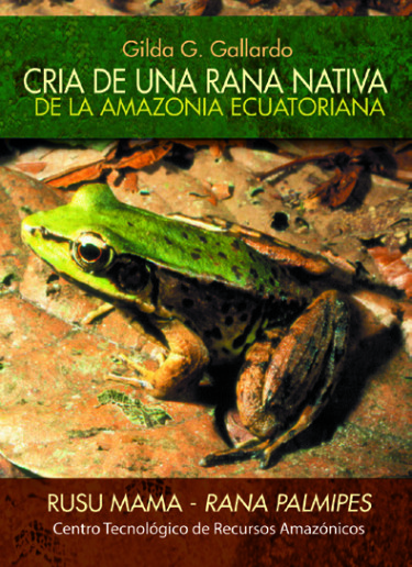 Cría de una rana nativa de la Amazonía Ecuatoriana