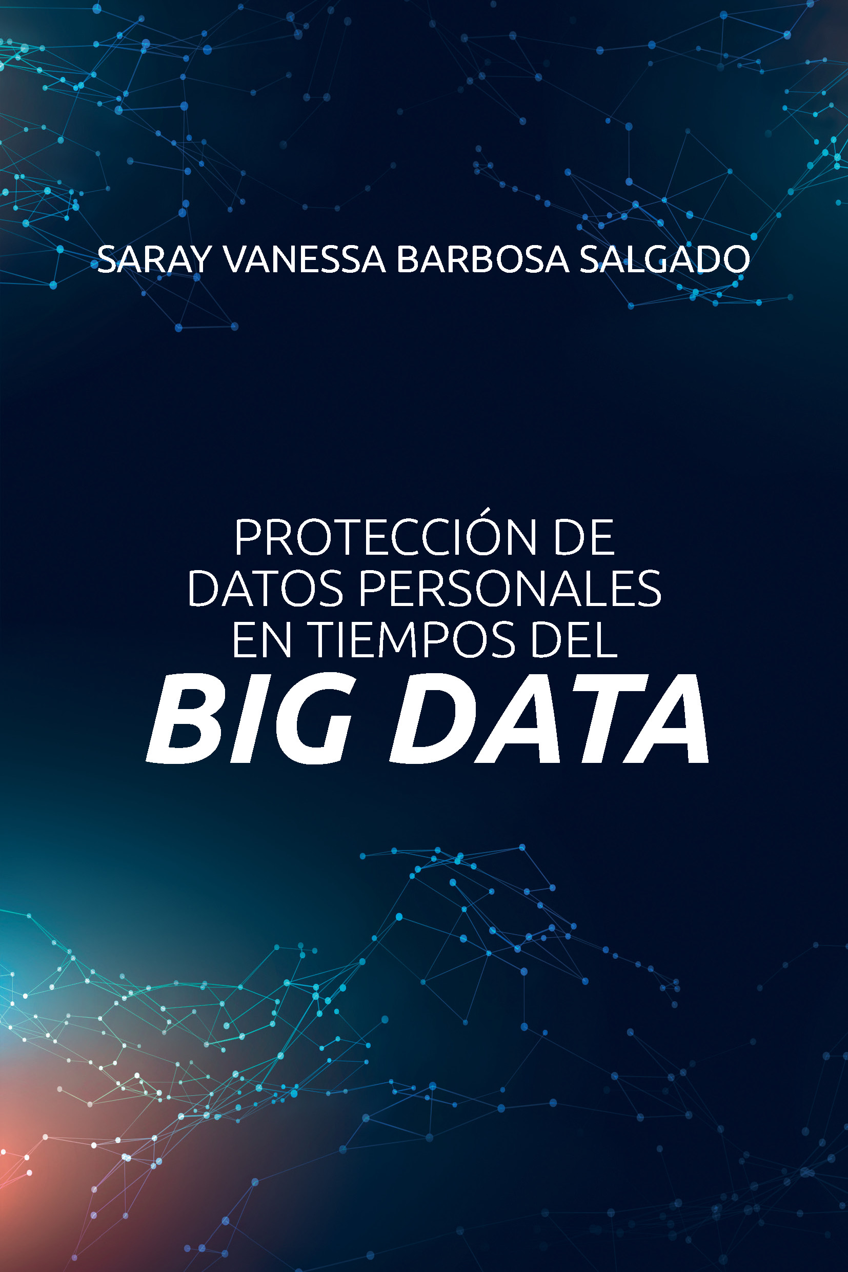 Protección de datos personales en tiempos del big data