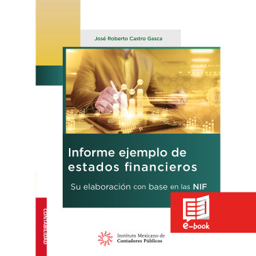 Informe ejemplo de estados financieros