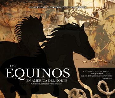 Los equinos en América del Norte
